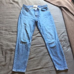 Everlane High-Rise Skinny Jean (Regular)